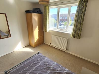 Picture 20